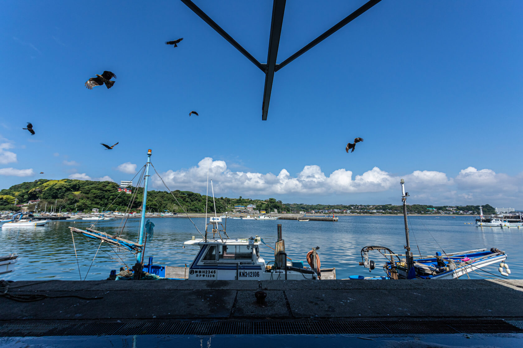 三崎漁港の写真